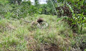 Imagem 2: Fazenda ótima para uma agricultura famíliar
