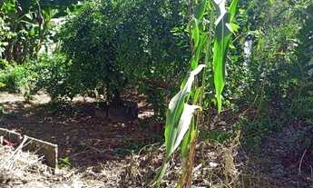 Imagem 4: Vende-se Lote 300m² em Soteco, Vila Velha/ES