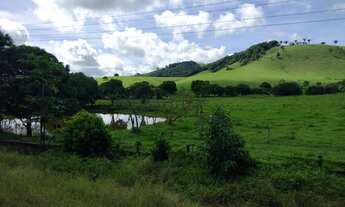 Imagem 6: Fazenda/Sítio/Chácara para venda possui 80 hectares, com 4 quartos em - Flexeiras - Alag