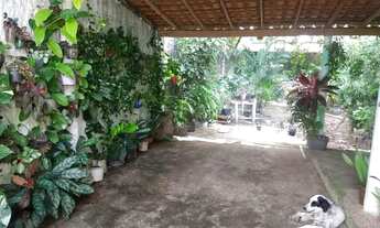 Imagem: Vende-se sítio 90 mil