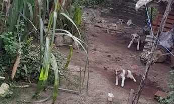 Imagem 5: Casa Casa com 3 dormitórios