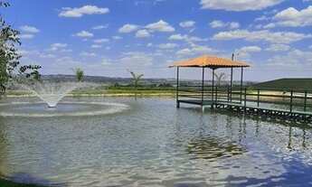 Imagem 3: Vendo chácara no incra 6 formada 38.000m2