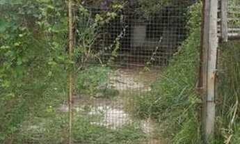 Imagem: Terreno,lote com barracao e água encanada,cisterna,e