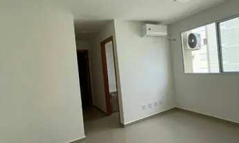 Imagem 4: Vista das Embaúbas