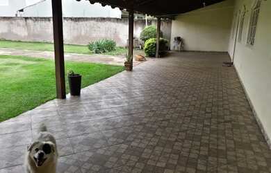 Imagem 4: Alugo casa na melhor rua da VP