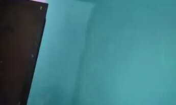 Imagem 2: Barracão Casa com 1 dormitório