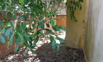 Imagem 7: Casas 2 Quartos para Venda em Cabo Frio, Nova Califórnia (Tamoios), 2 dormitórios, 1 suít