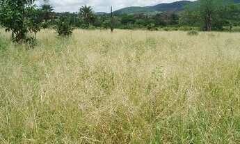 Imagem: Fazenda próxima a Itaberaba com duas casas