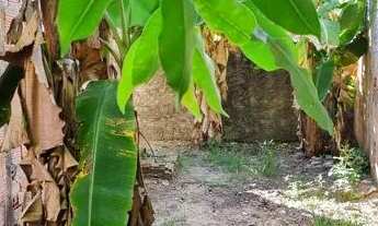 Imagem 2: Vendo esse terreno com duas casa valor 75mil