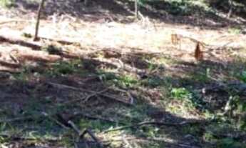 Imagem 4: Terreno c vista para montanha 971m² 10min do centro