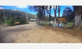 Imagem 4: Linda chácara na beira do asfalto, com piscina, casa boa e pomar!