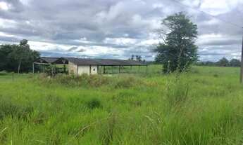 Imagem 3: Vende-se Fazenda São Pedro, 1107 ha - Documentação Atualizada