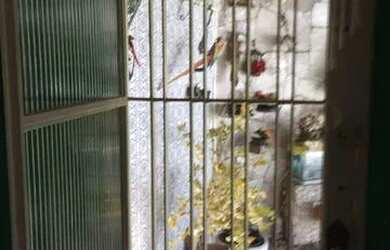 Imagem 2: SOBRADO - SUMAREZINHO - SP