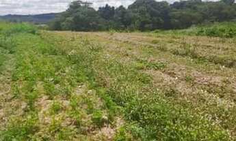Imagem 2: Lotes de 600m² Terreno / lote com venda por R$60.000