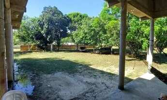 Imagem 2: Vende-se sítio 50 de frente por 40 de fundo