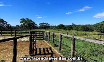 Imagem 3: Fazenda 25,5 alqueires em Corumbá de Goiás próximo a Alexânia GO