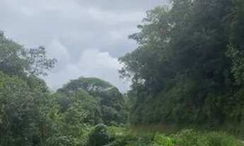 Imagem 3: Chácara em Tijucas do Sul