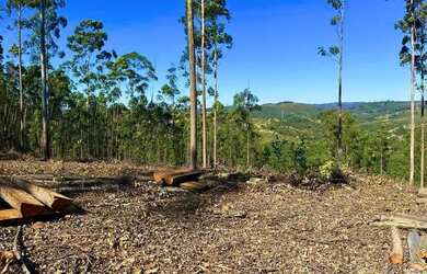 Imagem 4: Lote/Terreno para venda tem 600 metros quadrados em Aluminio - Alumínio - SP
