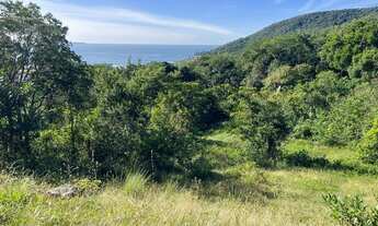 Imagem 6: Excelente terreno à venda na Praia da Gamboa, em Garopaba