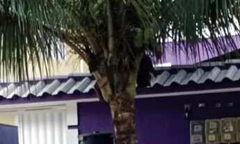 Imagem: Vendo 6 casas em um corredor todas com mobília