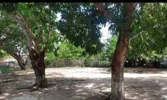 Imagem 3: Alugo chácara com casa com 3 quartos !