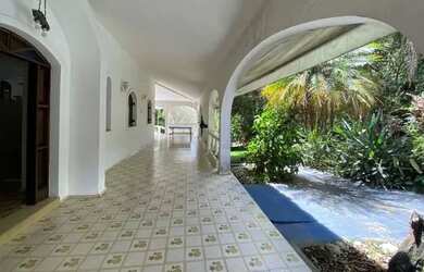 Imagem 7: Ótima casa COMERCIAL OU RESIDENCIAL, no miolo da Granja