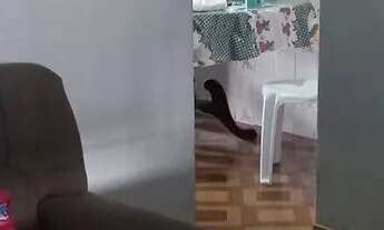 Imagem 5: VENDE-SE casa na cidade operária