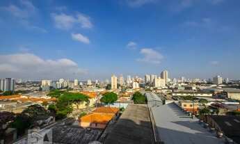 Imagem 4: Apartamento para Aluguel - Vila Mascote, 2 Quartos, 54 m2