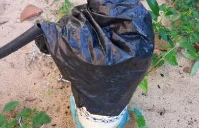 Imagem 6: CASA EM PARACURU