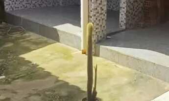 Imagem 7: VENDA | CIDADE OPERÁRIA