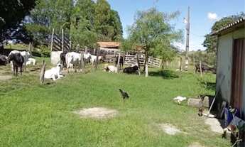 Imagem 3: Venda Sítio Chácara com venda por R$925.000