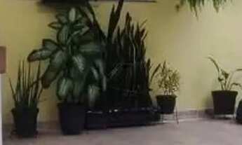 Imagem 2: SOBRADO - JARDIM AVELINO - SP