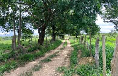 Imagem 5: Fazendinha 5.5 ha, piscina, córrego, terra de cultivo e casa. Jaboticatubas
