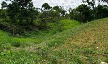 Imagem 3: Fazenda Tapirai-sp 29 Alqueires