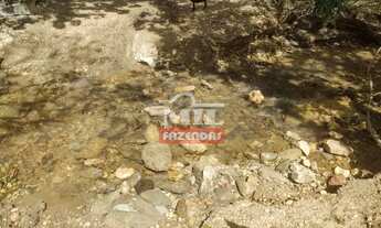 Imagem 2: Fazenda 26 alqueires (125,84 hectares ) Goianésia - Go