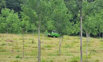 Imagem 4: Fazenda Santa Clara em Itapuã