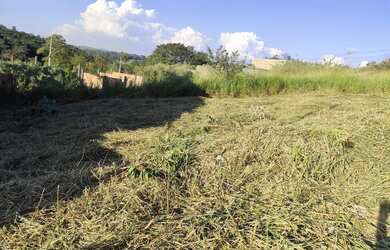 Imagem 7: Lote com 20 metros de frente em São Joaquim de Bicas