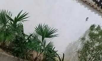 Imagem 3: Vendo casa com área de lazer