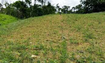 Imagem 2: Fazenda Tapirai-sp 29 Alqueires