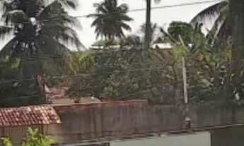 Imagem 6: Massagueira RGI VENDO aceito OFERTA