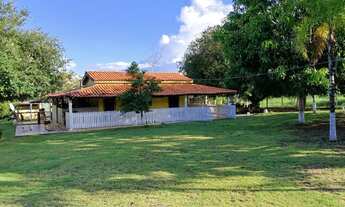 Imagem: VENDO SÍTIO NO DISTRITO DA GUIA