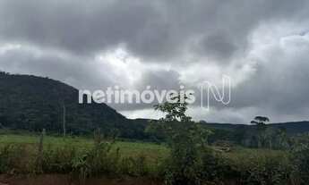 Imagem 3: FAZENDA BOM JESUS - MATO GROSSO