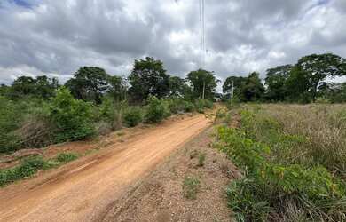 Imagem 2: Chácara de 6.000 m² em Caldazinha - Perto do Asfalto!