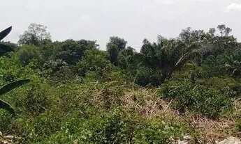 Imagem 3: /Lote em Açutuba com 4000 m2