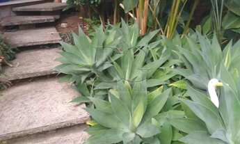 Imagem 3: Casas Padrão em Poços de Caldas