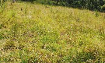 Imagem 6: Chácara no rancho novo