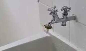 Imagem 7: Apartamento para locação em Jardim São Paulo(Zona Norte) com 2 quartos , 62m²