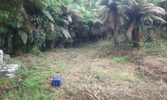 Imagem 6: Chacarra quatro baras