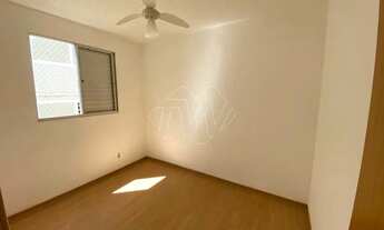 Imagem 4: Locação de Apartamentos / Padrão na cidade de Araraquara