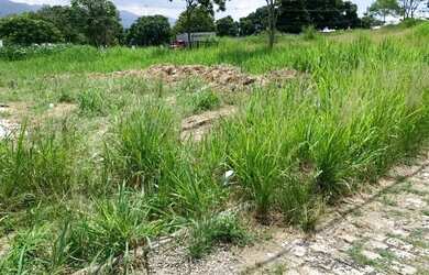 Imagem 6: Campo Grande (Santíssimo) Terrenos. 126m2 com RGI- Entrada 21.000